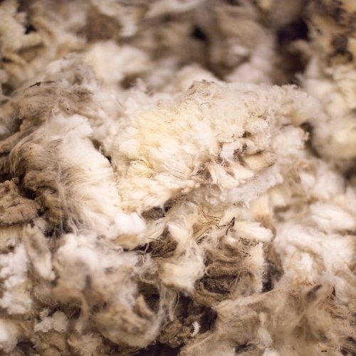 Merino wool