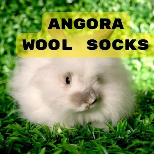 The Cozy Elegance of Angora Wool Socks: A Winter Essential