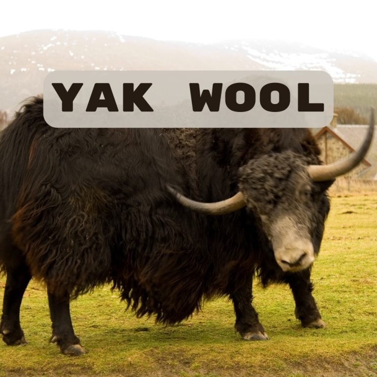 The Hidden Gem of the Himalayas: Yak Wool